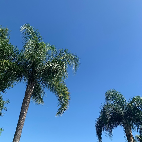 Meet your Posher, Andreina - Picture 1 of 1